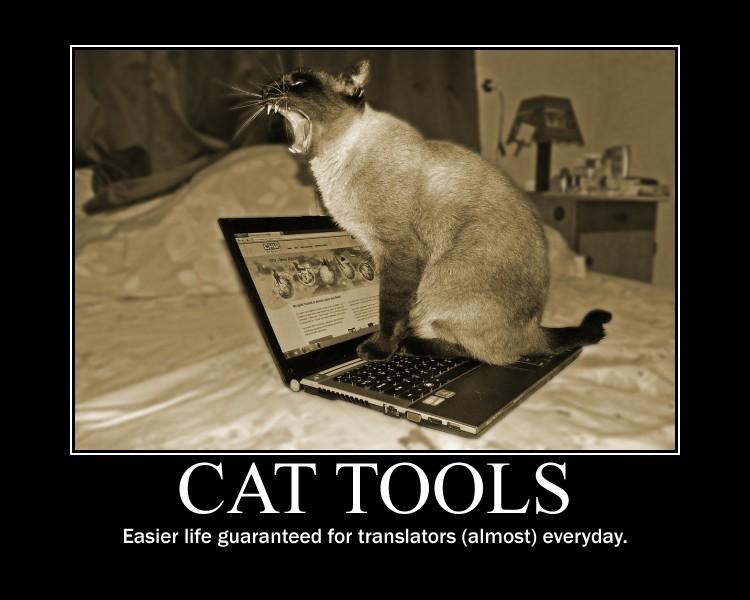 cat tools забавная картинка