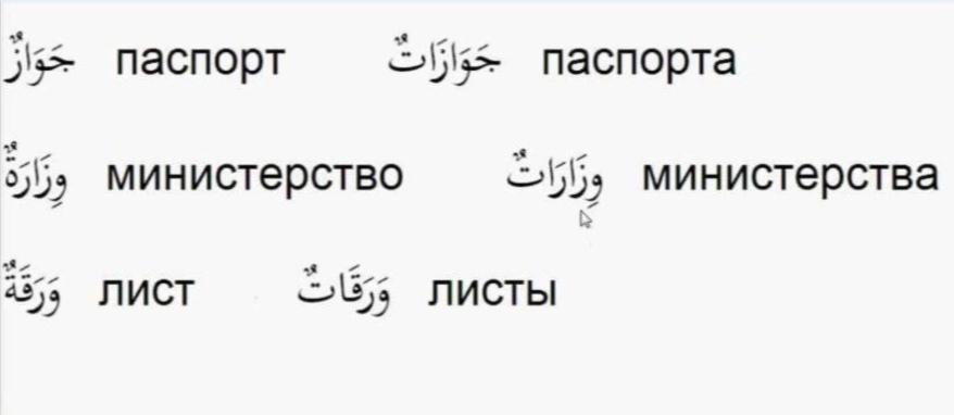 множественное число в арабском языке